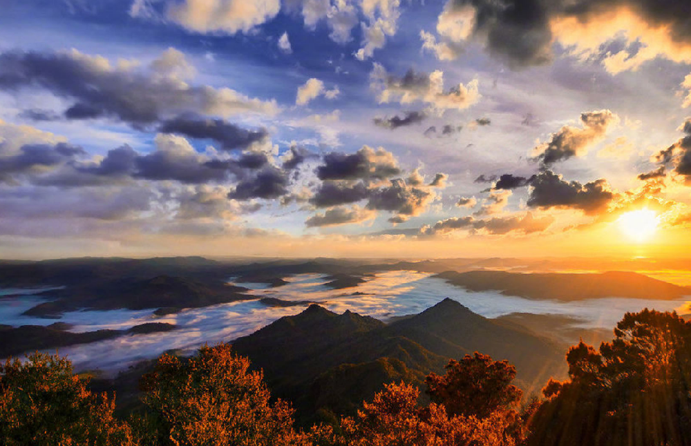 深圳小程序开发公司选择的要点是什么（开发成功的关键要素）