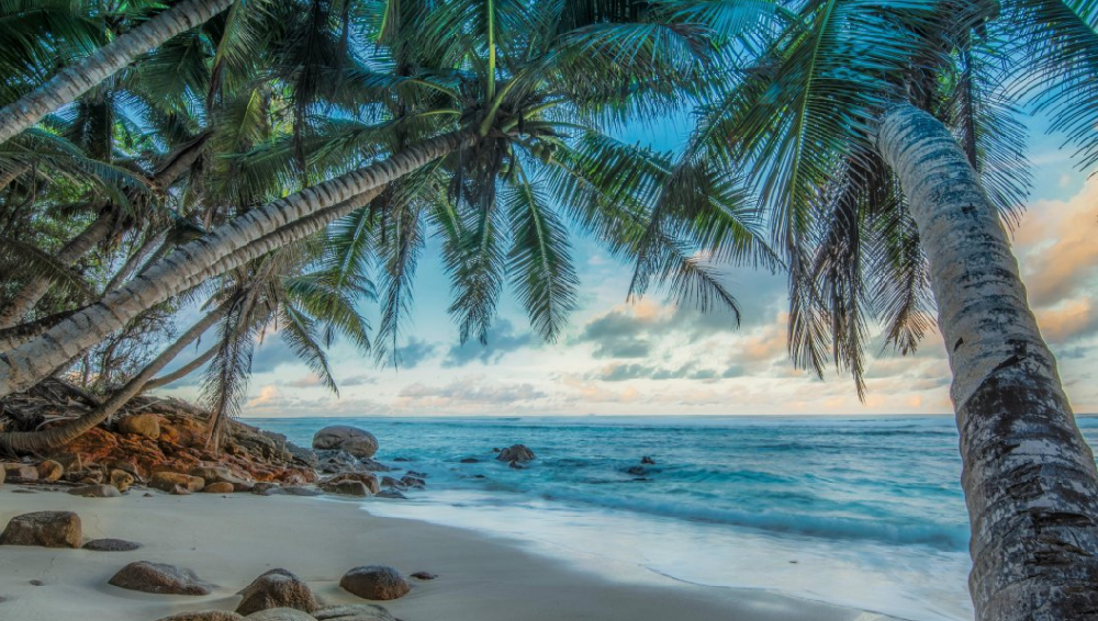 深圳小程序开发市场现状分析（深入了解行业情况）