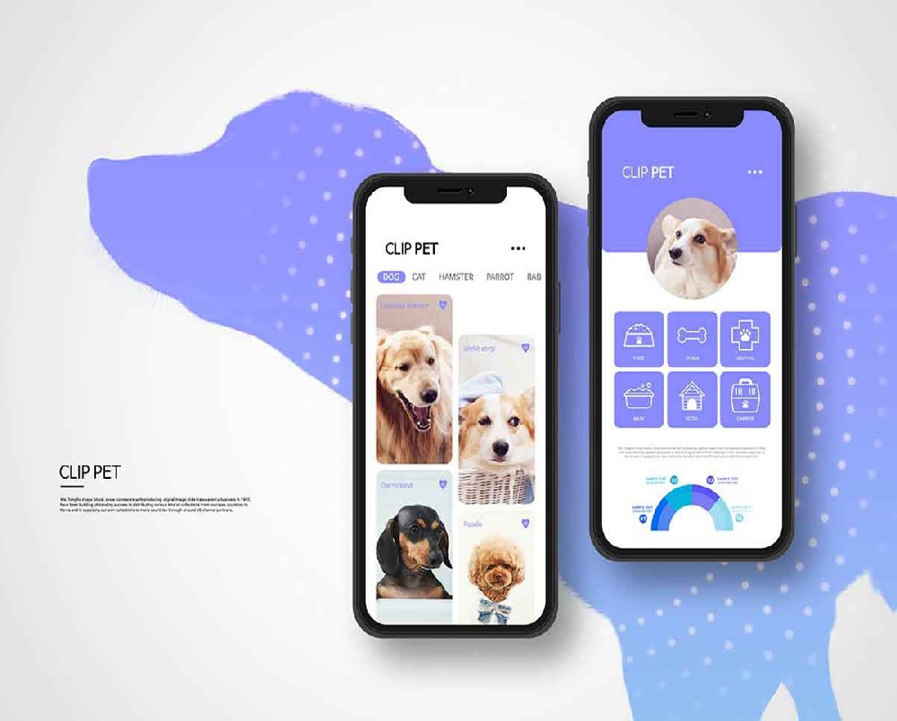 深圳APP开发方式有哪些（详细解析各种手机APP开发方式）