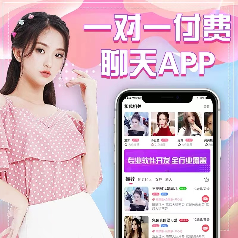 软件开发公司的项目团队培训与发展